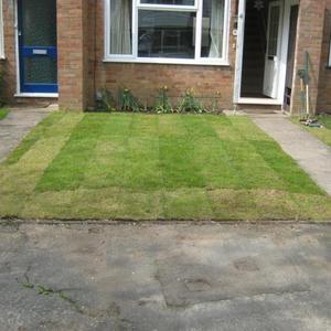 Professional Work 01