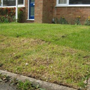 Professional Work 02