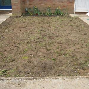 Professional Work 03