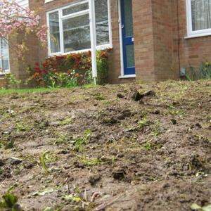 Professional Work 04