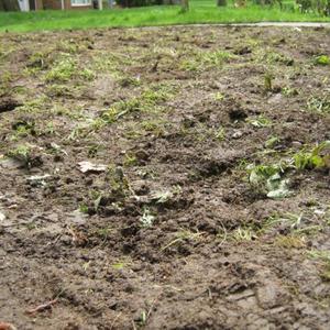 Professional Work 05