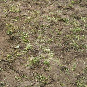 Professional Work 06