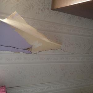 back side of house inside crack