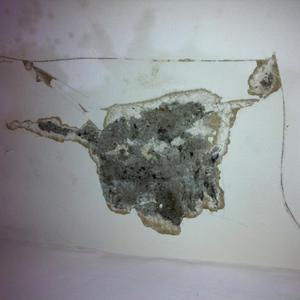 dining room alcove 1