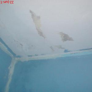 wall ceiling next to the garden