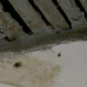 Ceiling Screw into Position