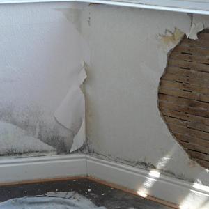 Reason and beginning