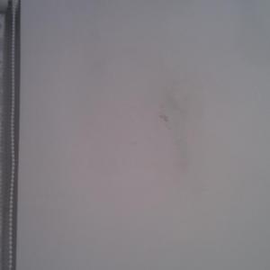 Original Damp Patches 1