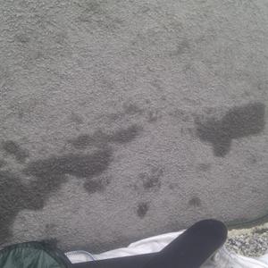 Strange wet patches when raining