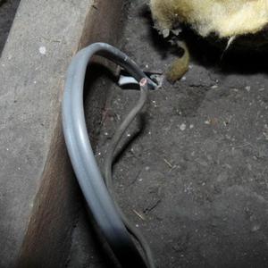 T&E and single red in loft above light fitting