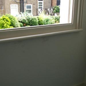 Damp Patches Underneath