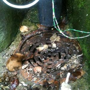 Drain issue