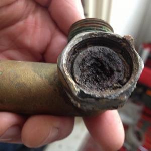 bypass off a 7yr old alpha cb he