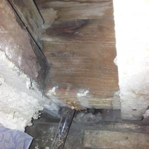 Wall plate/joists