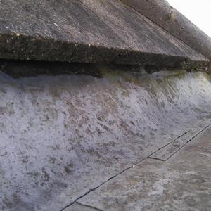 my leaking roof lead