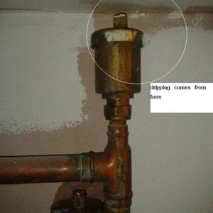 origin of dripping close up