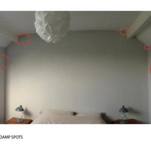 Top bedroom - damp spots