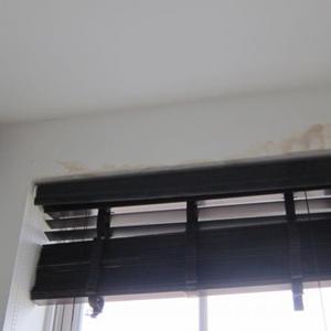 Internal damage to wall 1