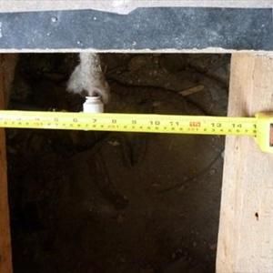 Distance between joist 2