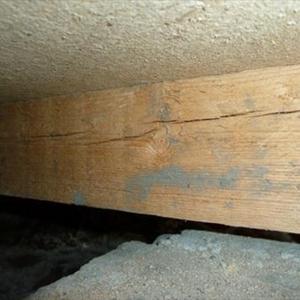 Joist 1