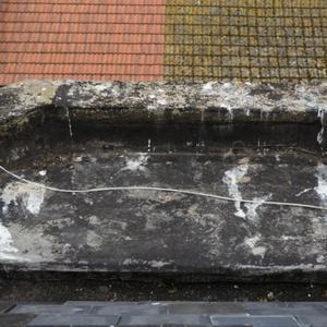 Bay Parapit (Close Up)