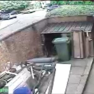 Included Maplin Camera