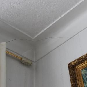 04-dining-room(north)-NE-corner-close-up