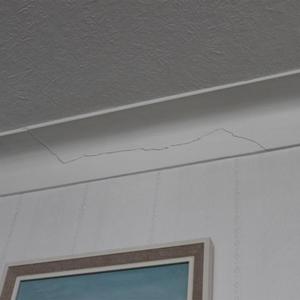 06-dining-room(north)-SE-corner-close-up