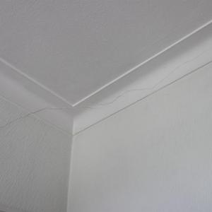 10-living-room(south)-NW-corner-close-up