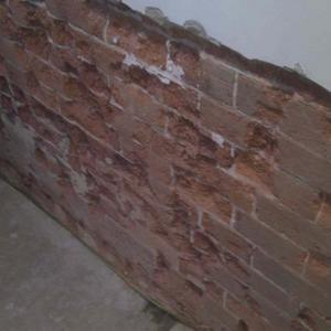 bricks after plaster removal