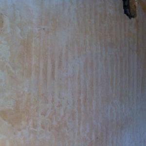 Kitchen internal plaster