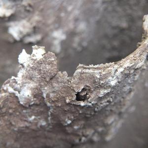 Roof sheet corroded corner