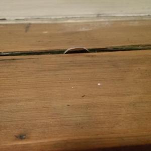 Not that deep of a crack