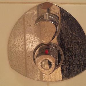 can you identify this shower
