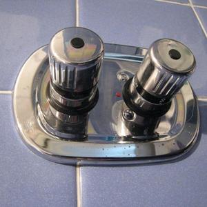 Thermostatic controller and tap