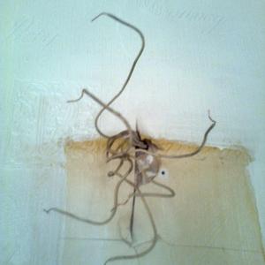 wiring for door bell