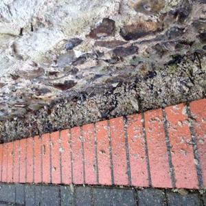 Aftermath of hail storm