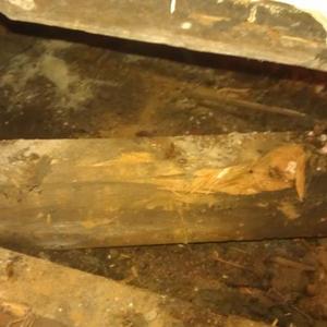 Well that came out easily