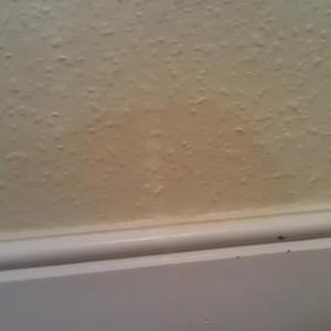 Damp Wall Inside Front 2