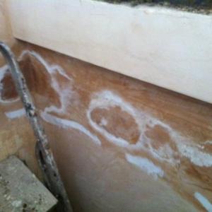 Damp patches appearing bottom left