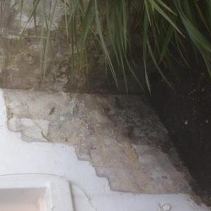 Back yard, water feature, wall