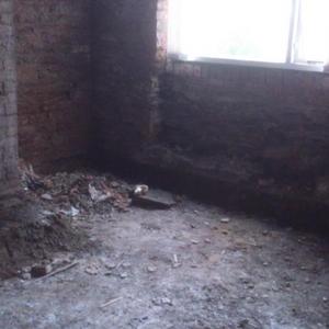 Rear room, view of back window