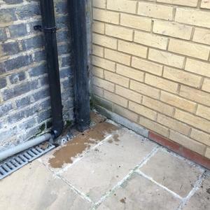 Damp brickwork in corner