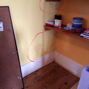 Damp patch in the dining room