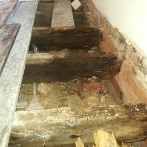 2 rotted, 1 on the way