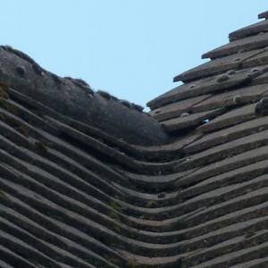Roof leak 2 at top of gulley
