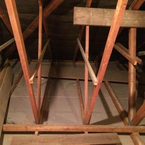 Roof Joists Above