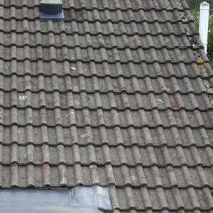 West facing - Sth side 1