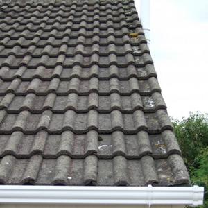 West facing Sth side 2