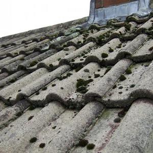 Moss under chimney 1
